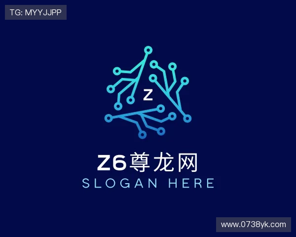 发现Z6尊龙网